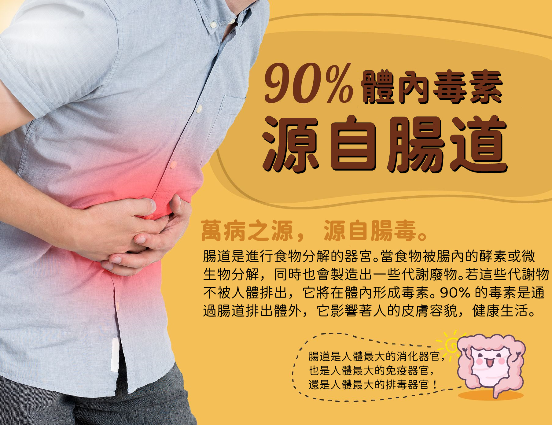 Wellous Frusso WellnessMall SG Wellous Products Singapore - interstinal tonix is the source of all diseases