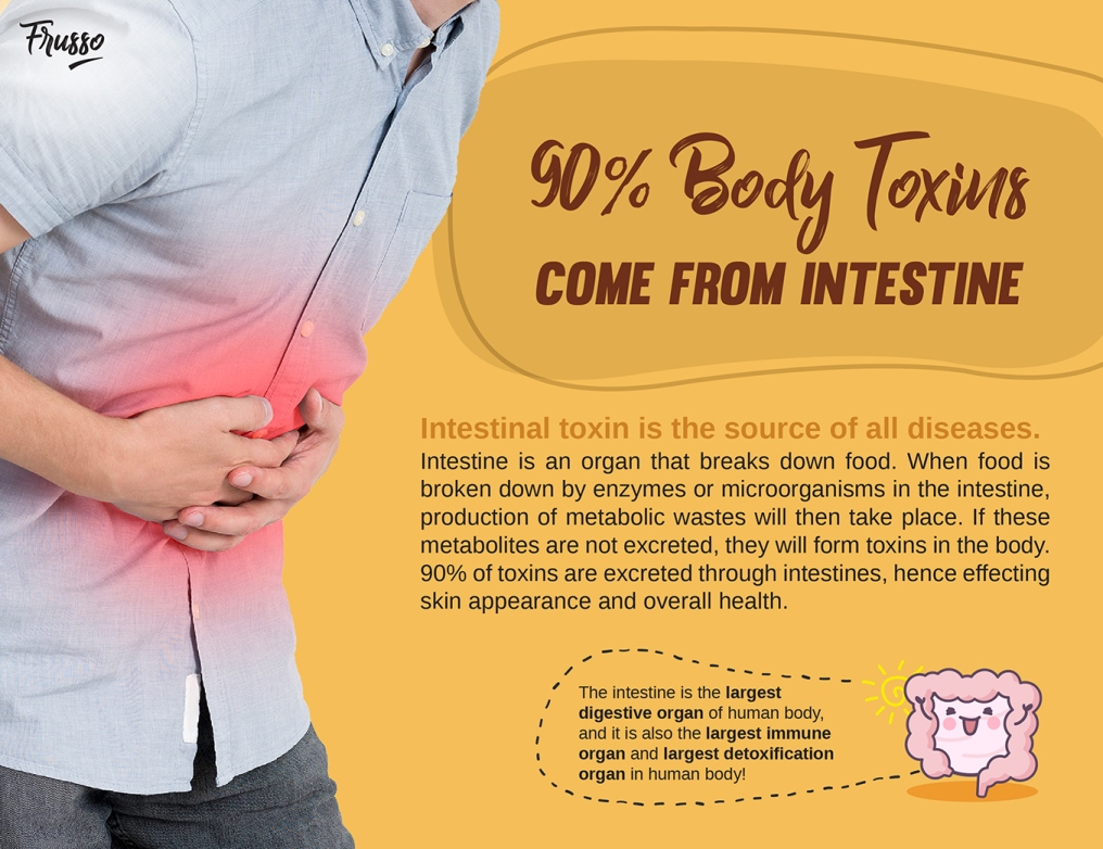 Wellous Frusso WellnessMall SG Wellous Products Singapore - interstinal tonix is the source of all diseases