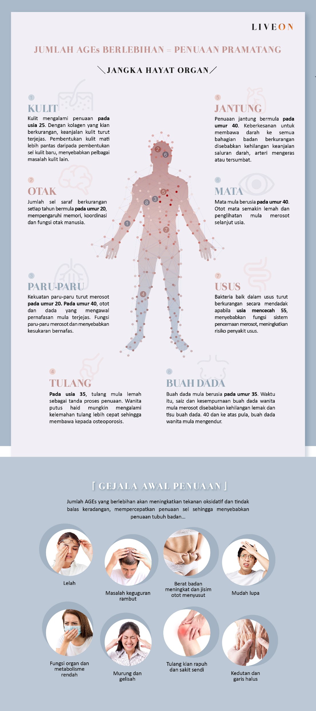 LIVEON Singapore -  the early Symptoms of Ageing 