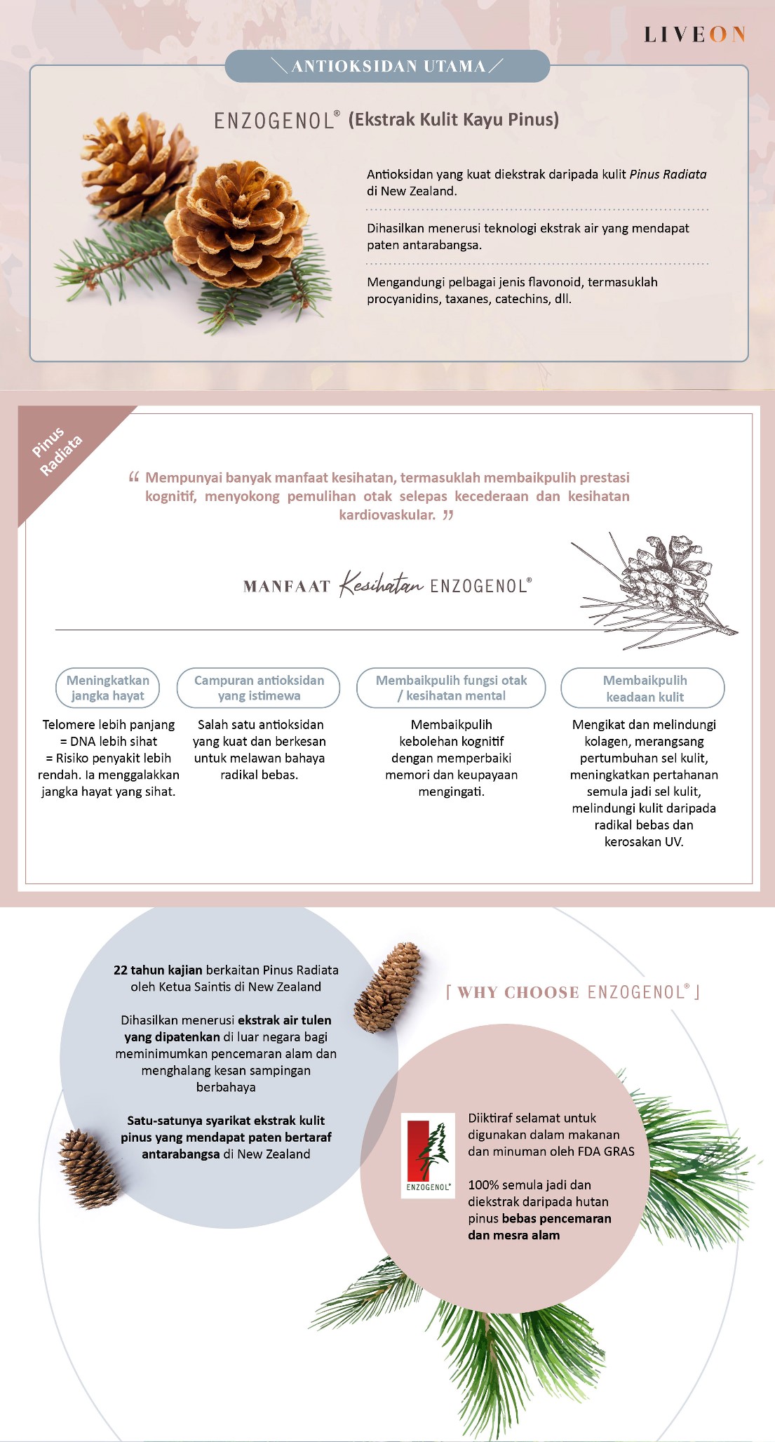 LIVEON Singapore - SOD extramel pine bark extract - a powerful antioxidant extracted from bark of pinus radiata in new zealand  