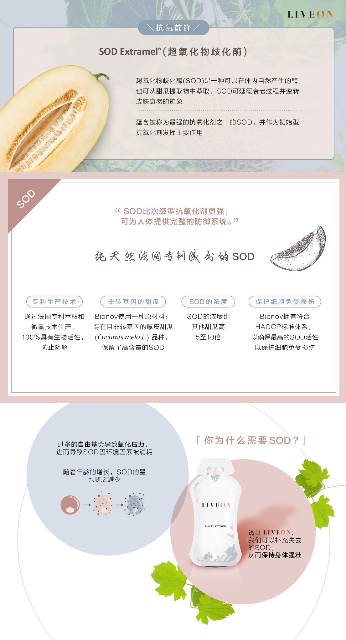 LIVEON逆龄抗糖饮-新加坡- SOD extramel free radicals oxidative stress 