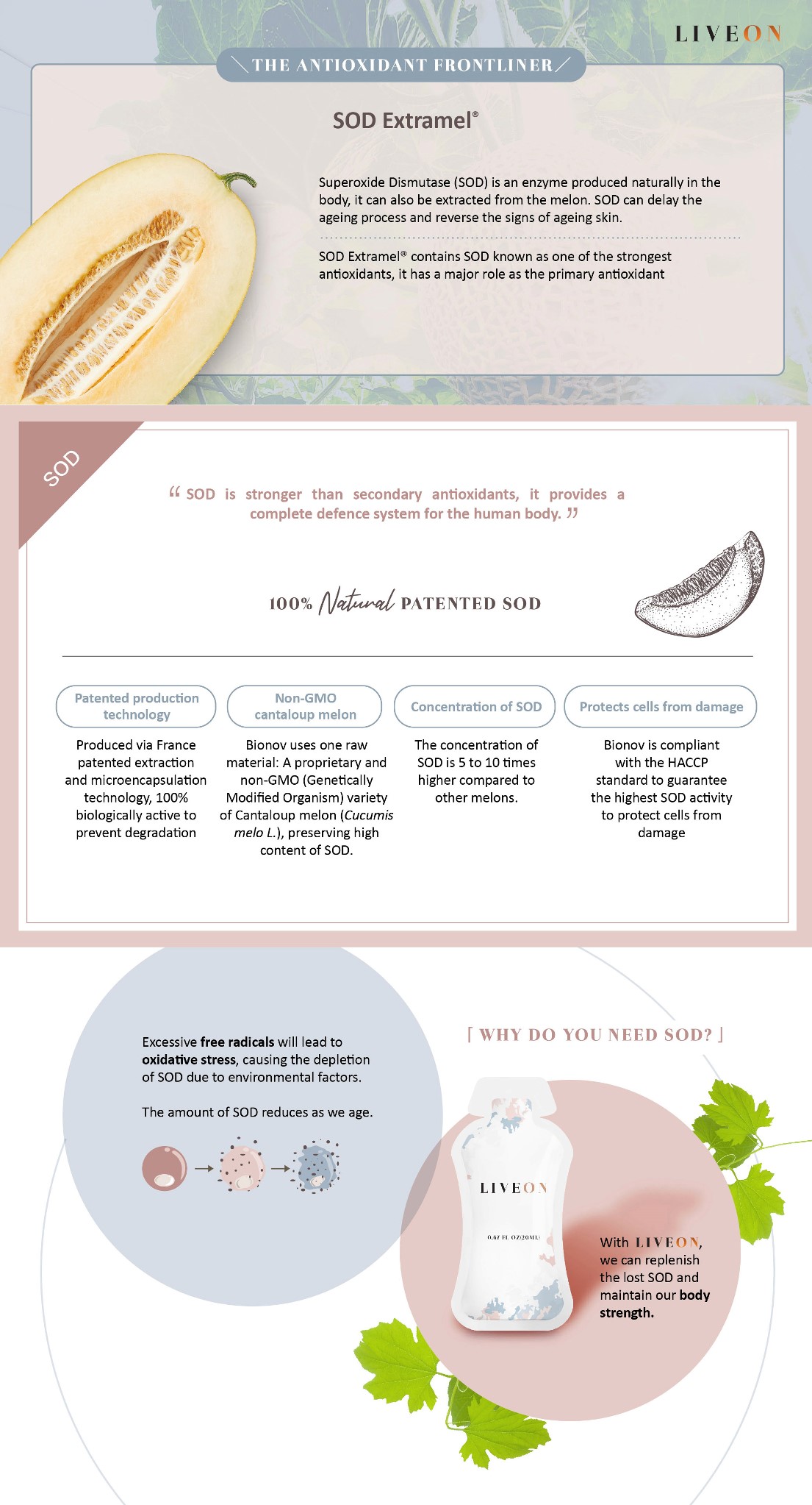 LIVEON Singapore - SOD extramel free radicals oxidative stress 