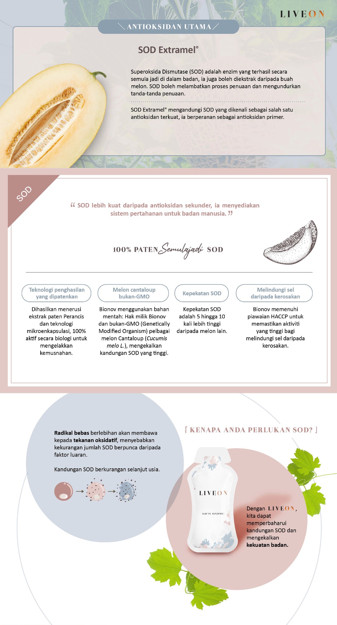 LIVEON Singapore - SOD extramel free radicals oxidative stress 