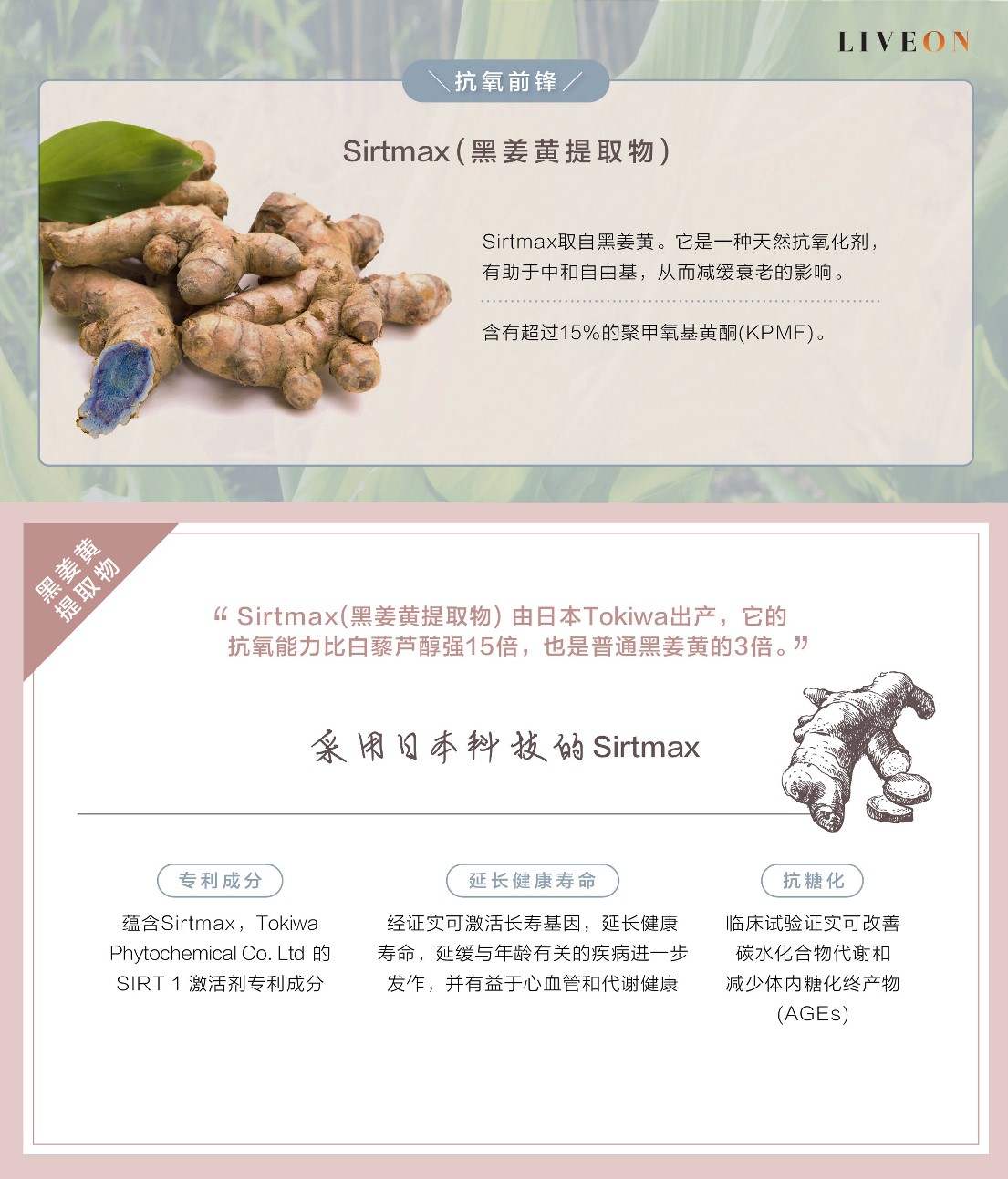 LIVEON逆龄抗糖饮-新加坡- Sirtmas (black turmeric extract) the anitoxidant frontliner  