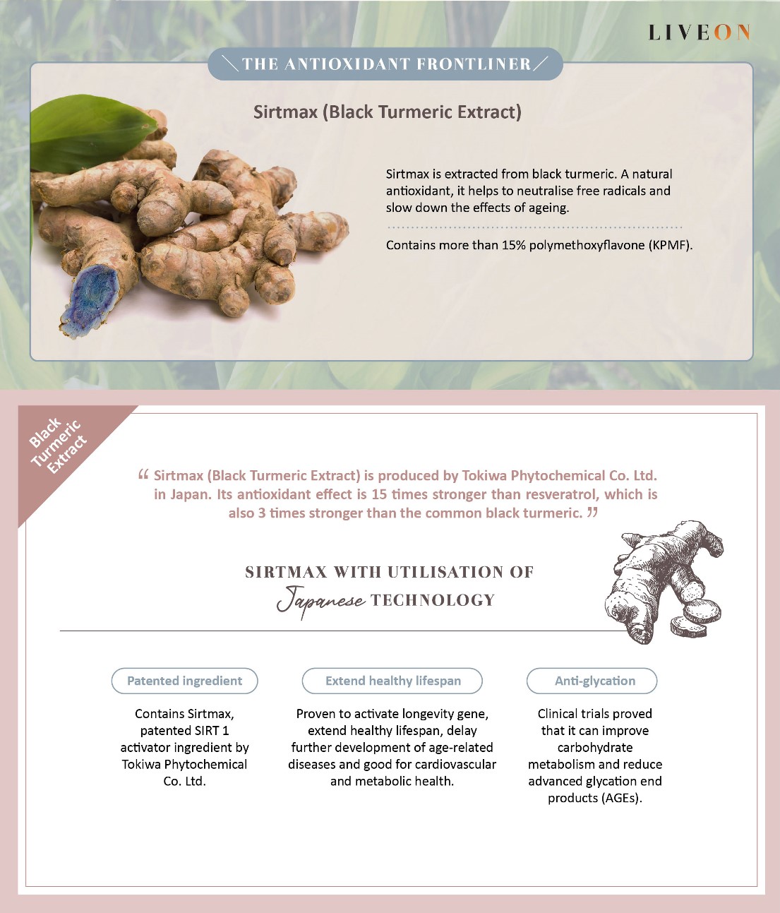 LIVEON Singapore - Sirtmas (black turmeric extract) the anitoxidant frontliner  