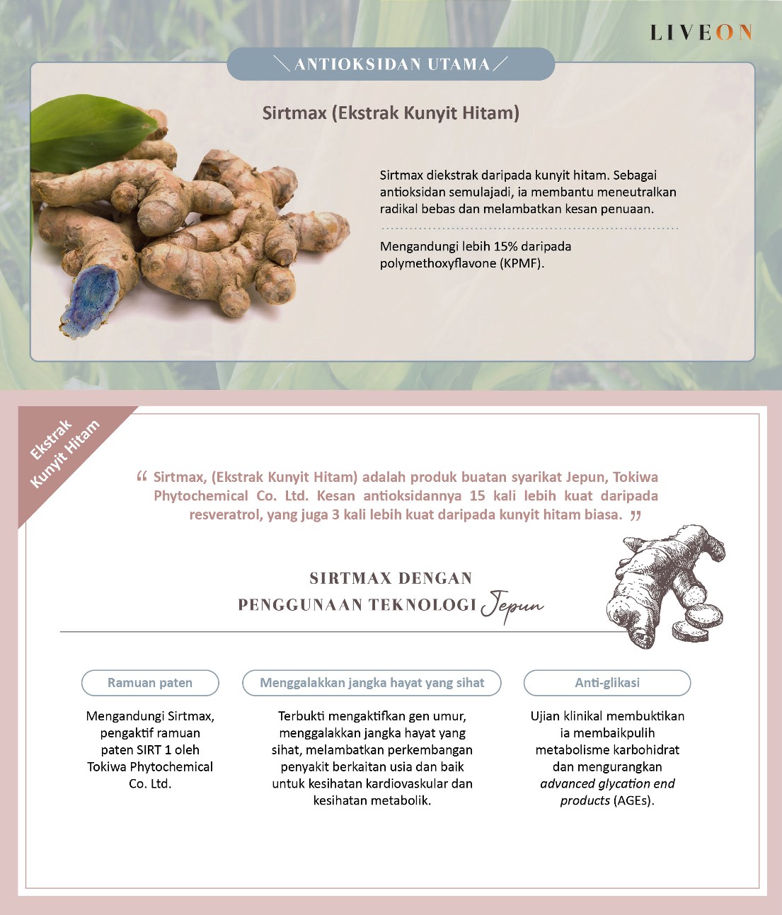 LIVEON Singapore - Sirtmas (black turmeric extract) the anitoxidant frontliner  