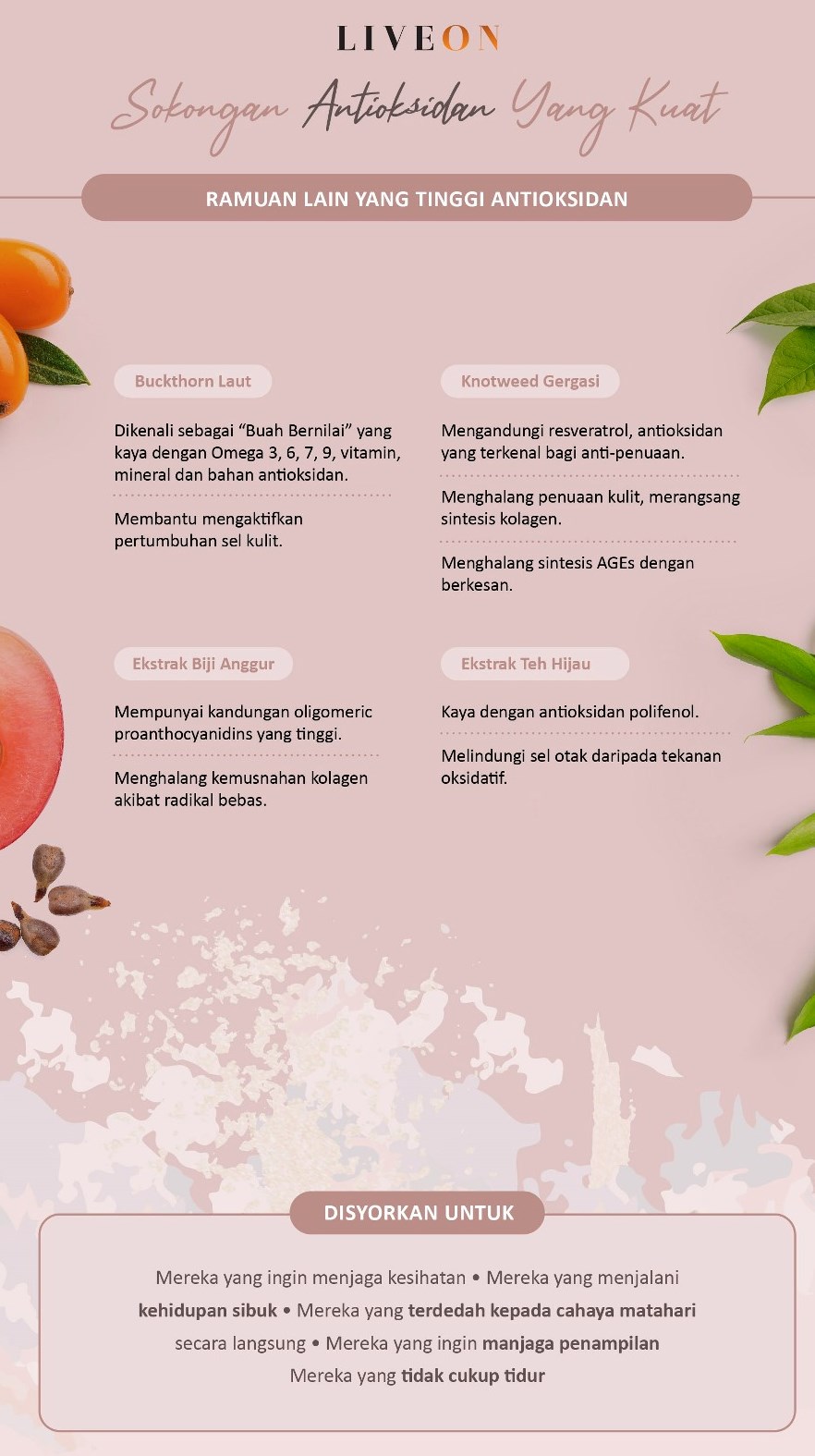 LIVEON Singapore - powerful antioxidant support - Sea Buckthorn , Giant Knotweed, grapeseed extract, green tea extract 