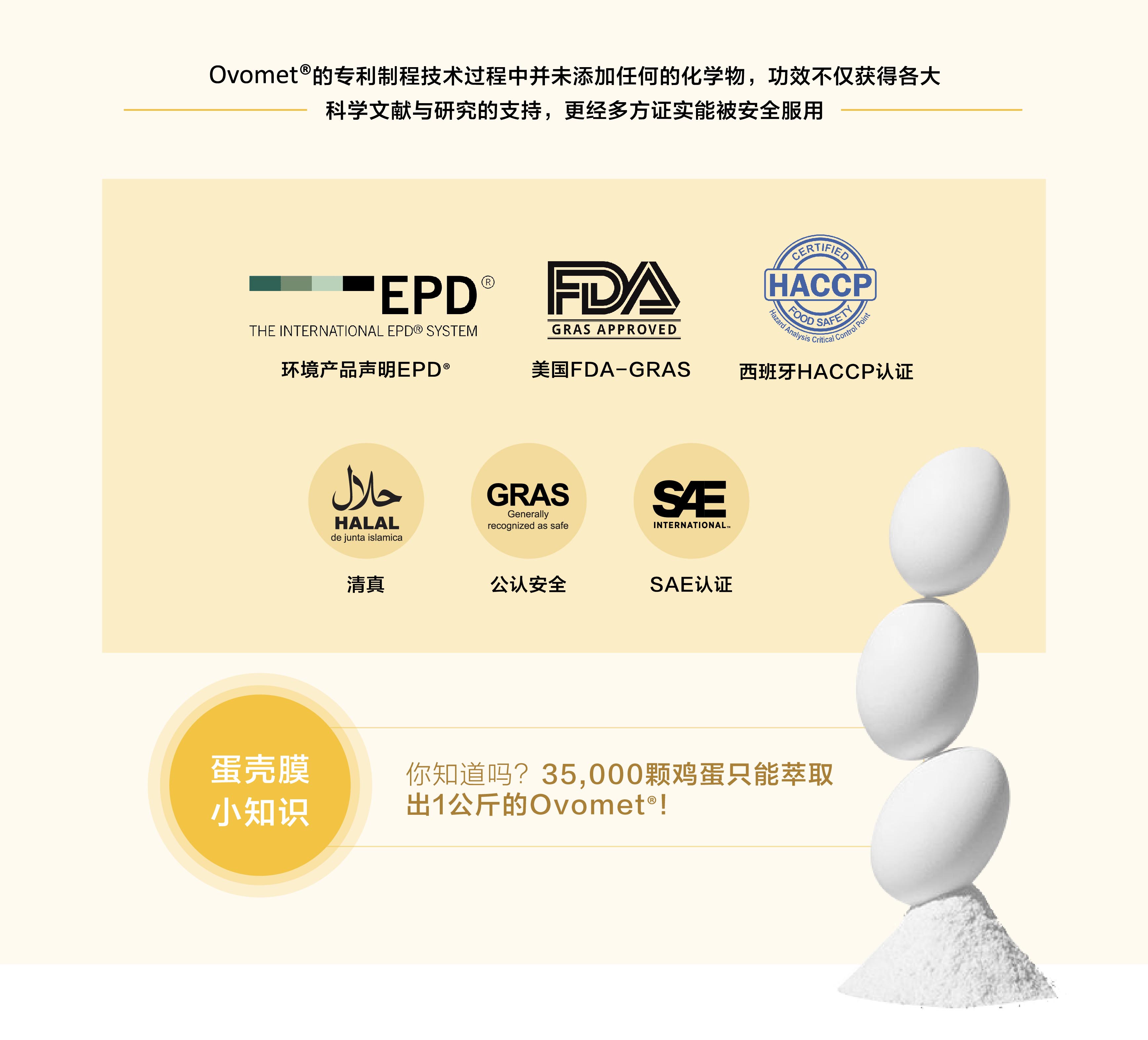 MOVEON灵活饮-新加坡