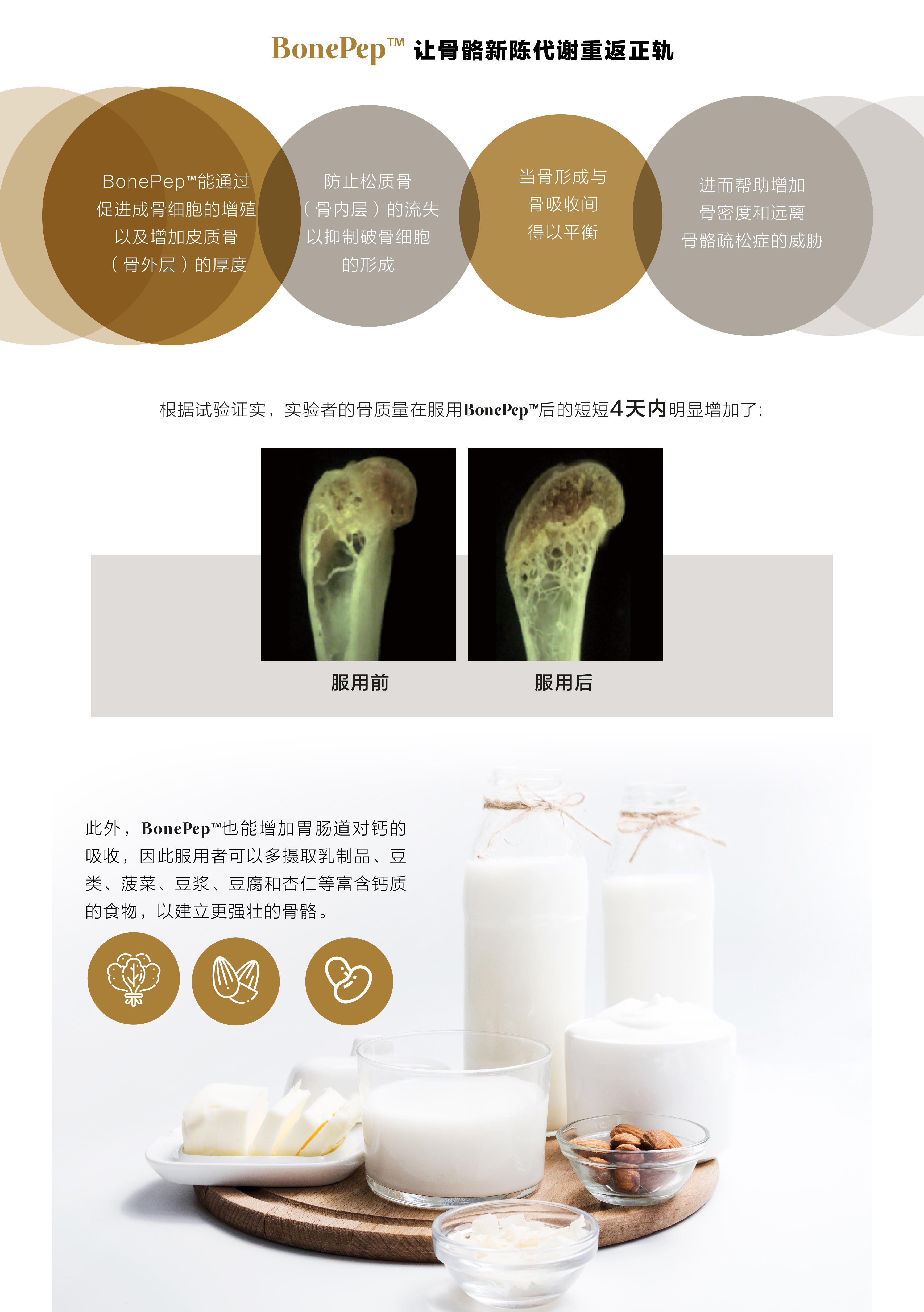 MOVEON灵活饮-新加坡