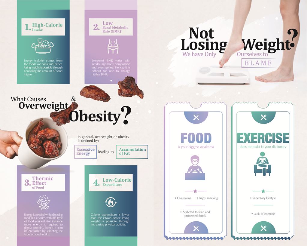 Wellous Zenso Wellnessmall Malaysia Signgapore